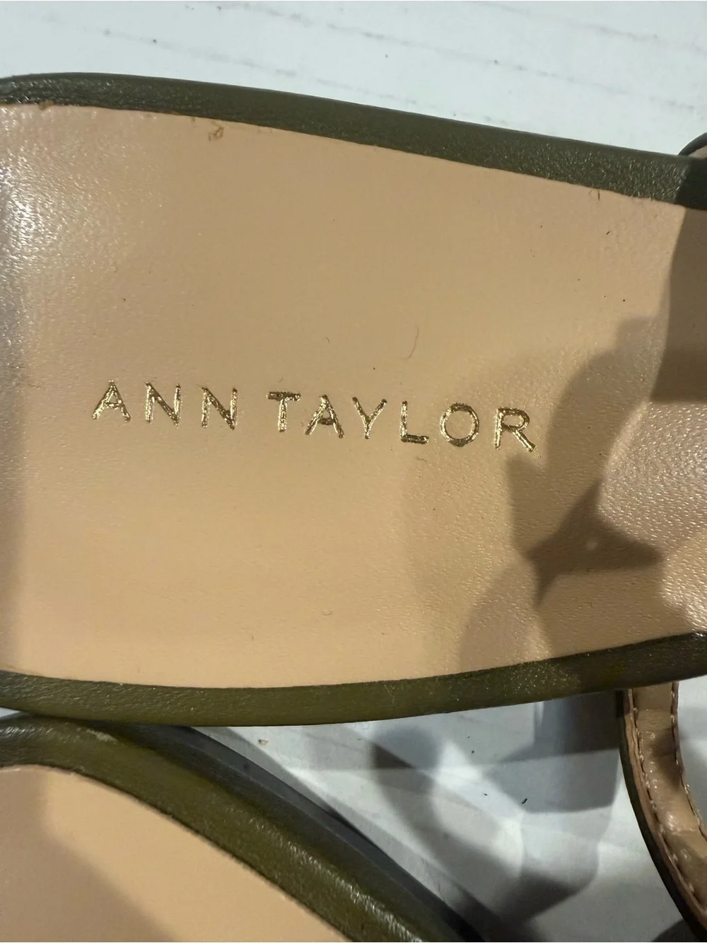 Ann Taylor ann taylor